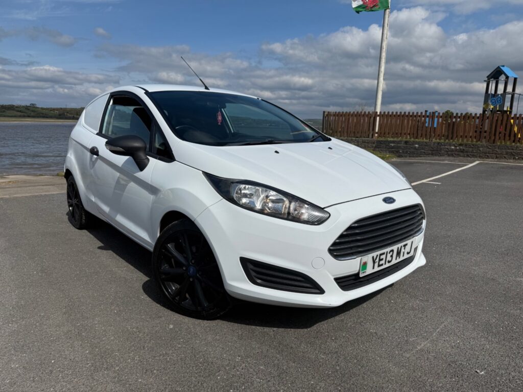 Ford Fiesta 1.6 TDCi ECOnetic Van